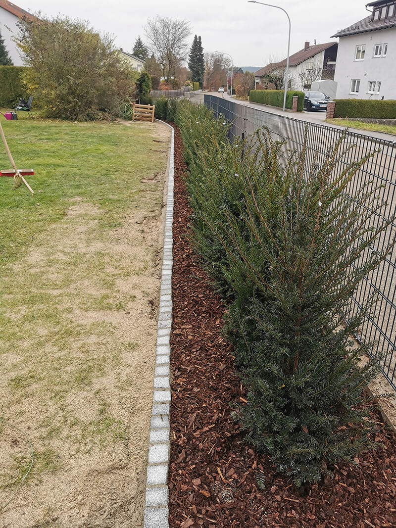 Zaungestaltung Nachher