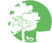 Begrünung & Pflanzung