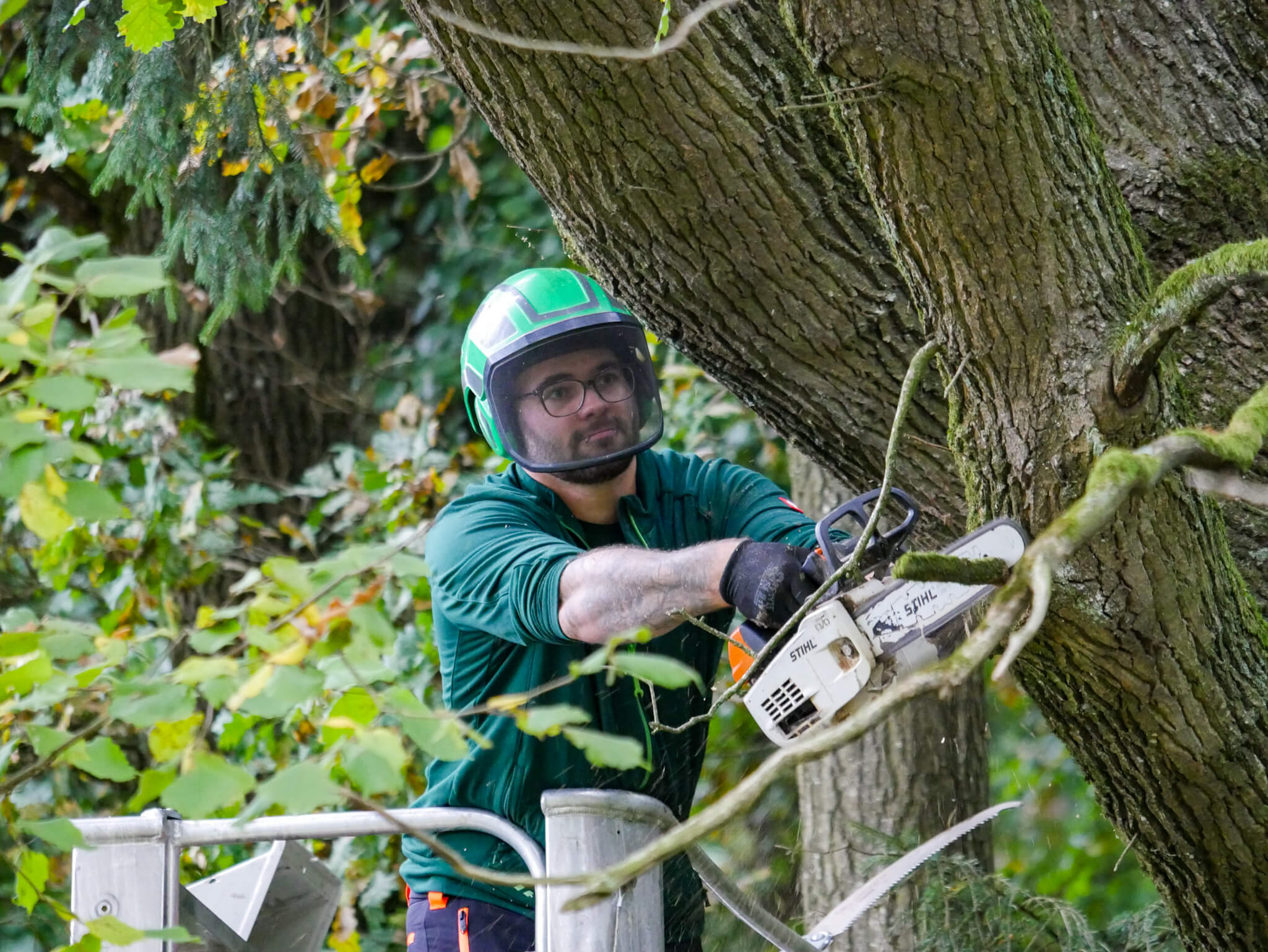 Marco Meindl sägt an einem Ast