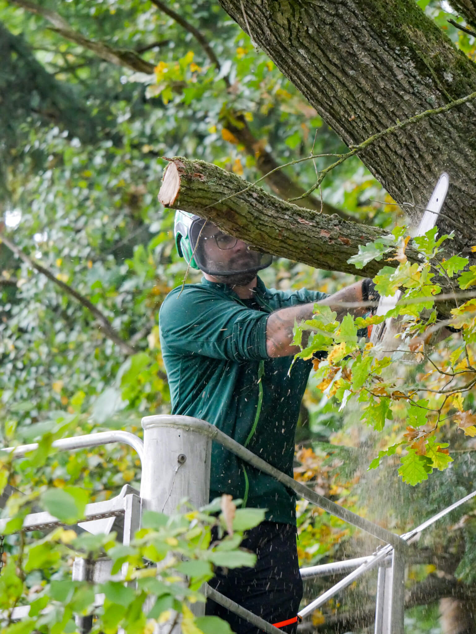 Marco Meindl sägt an einem weiteren Aststück